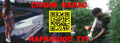 сатива Кунгур