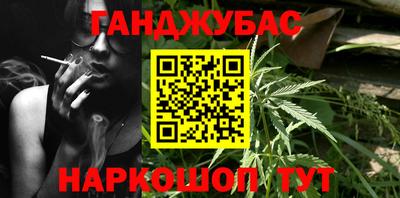 сатива Кунгур