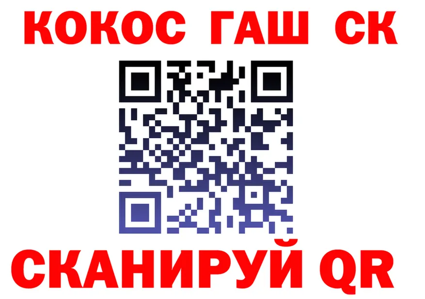 A-PVP СК КРИС вход дарк нет гидра Елизово