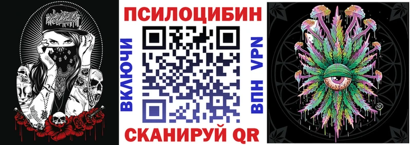 MEGA как зайти  Елизово  Галлюциногенные грибы Magic Shrooms 