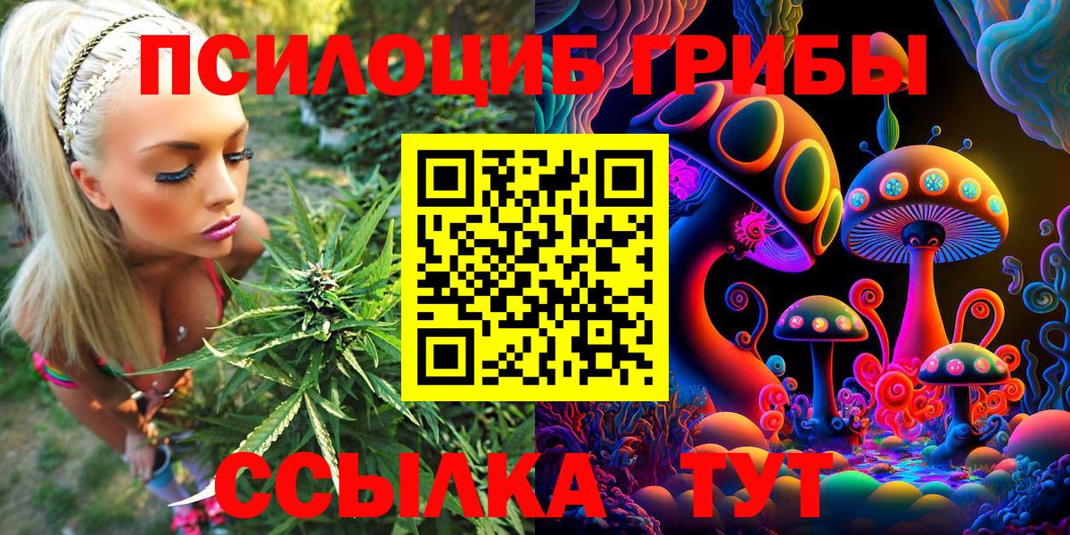 Галлюциногенные грибы мицелий  Псилоцибиновые грибы Psilocybine cubensis  Вход с VPN  Елизово 
